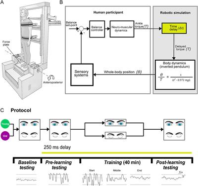 Age-related impairments and influence of visual feedback when learning to stand with unexpected sensorimotor delays